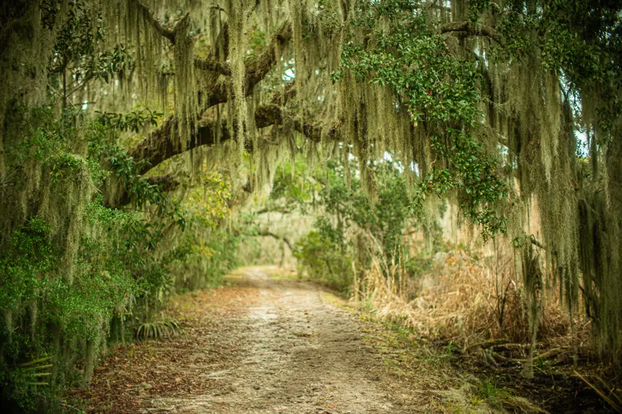 19 Middleton Oaks Road, Charleston, SC 29414 - Image #3