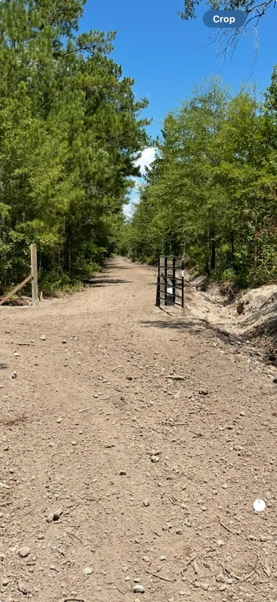 Tbd House Road, Summerton, SC 29148 - Image #2