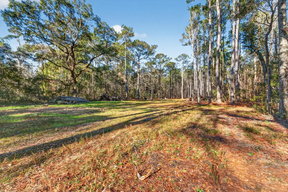 00 Dupre Road, McClellanville, SC 29458 - #1