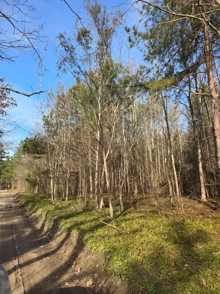 00 Whitestone Drive, Reevesville, SC 29471 - #2