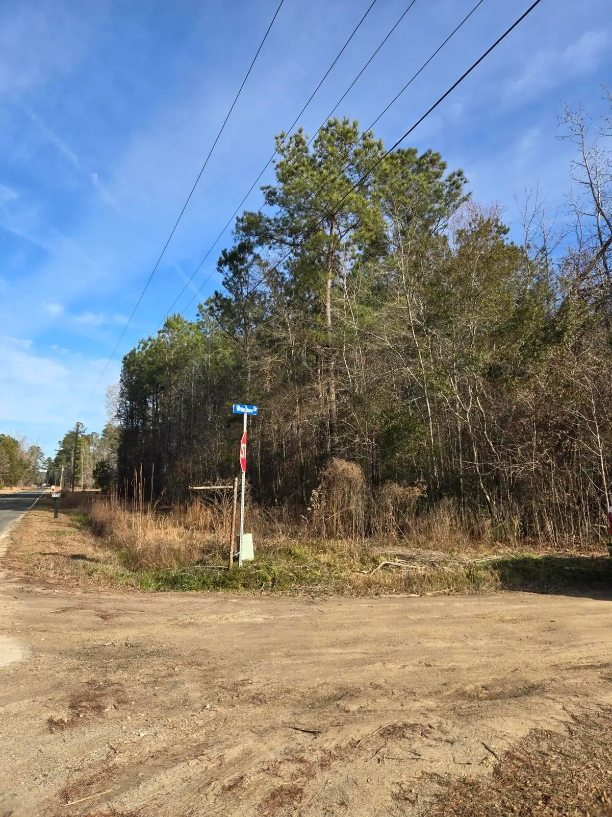 0 Whitestone Drive, Reevesville, SC 29471 - #1