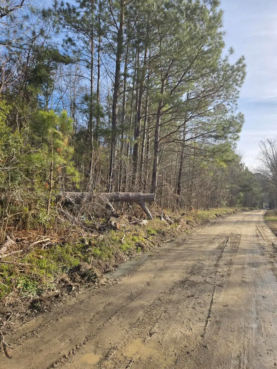 0 Whitestone Drive, Reevesville, SC 29471 - #3