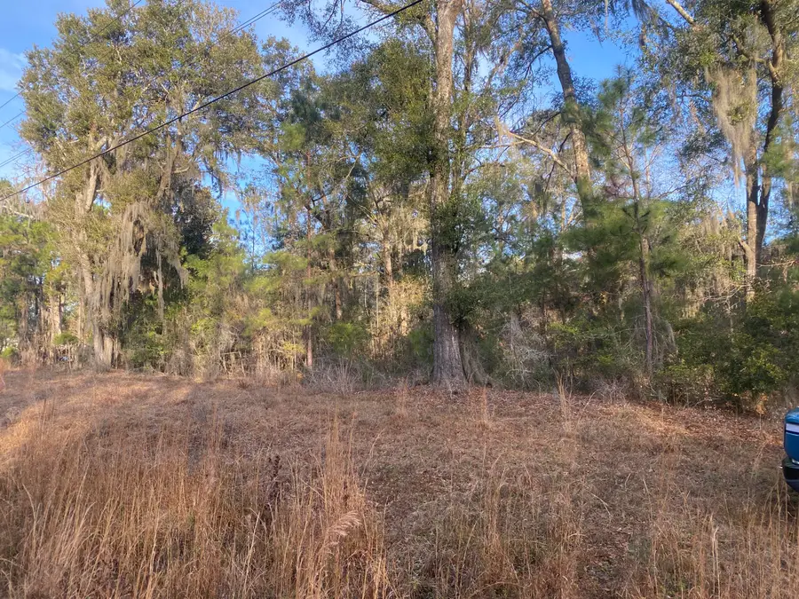 1970 Liberia Road, Wadmalaw Island, SC 29487 - #2