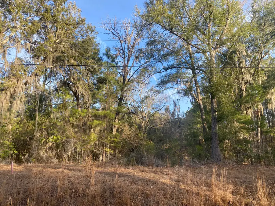 1970 Liberia Road, Wadmalaw Island, SC 29487 - #3