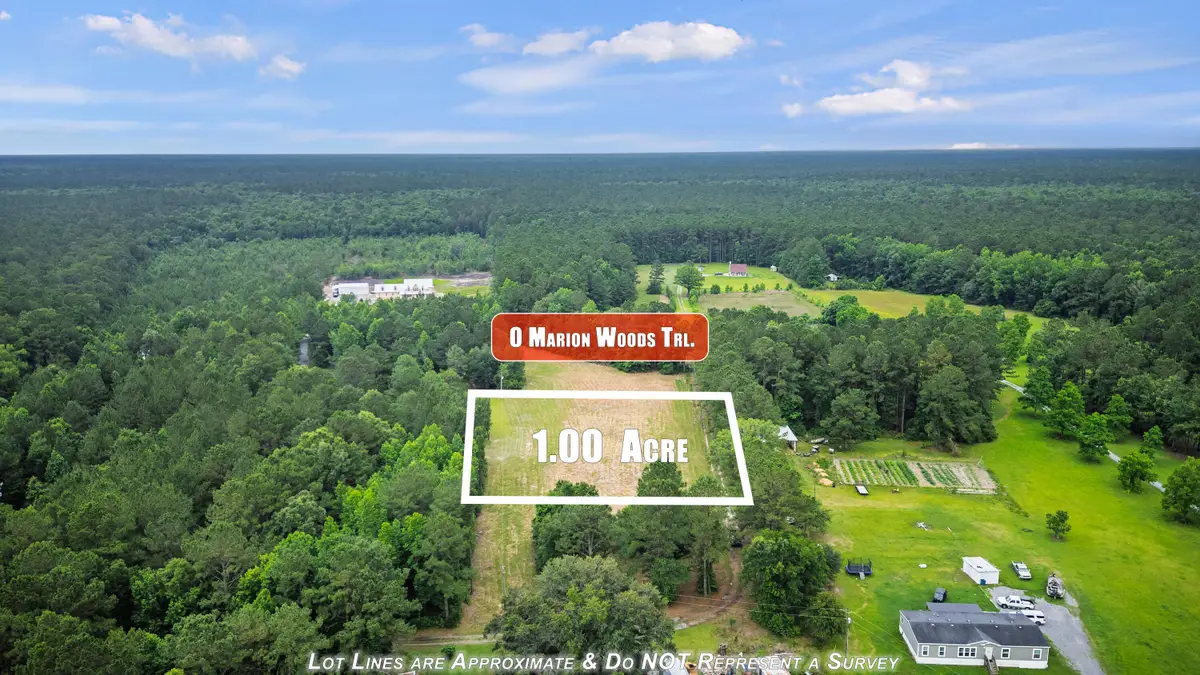 0 Marion Woods Trail, Bonneau, SC 29431 - #1