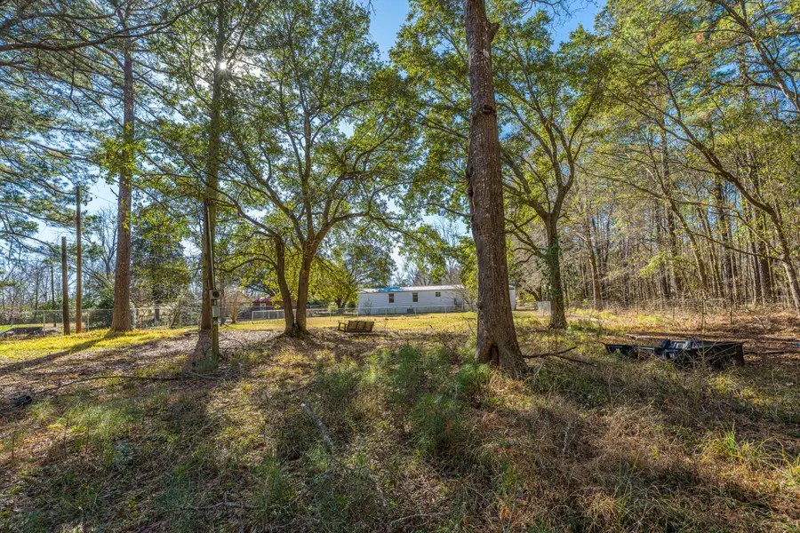 153 Rogers Branch Road, Ridgeville, SC 29472 - #2