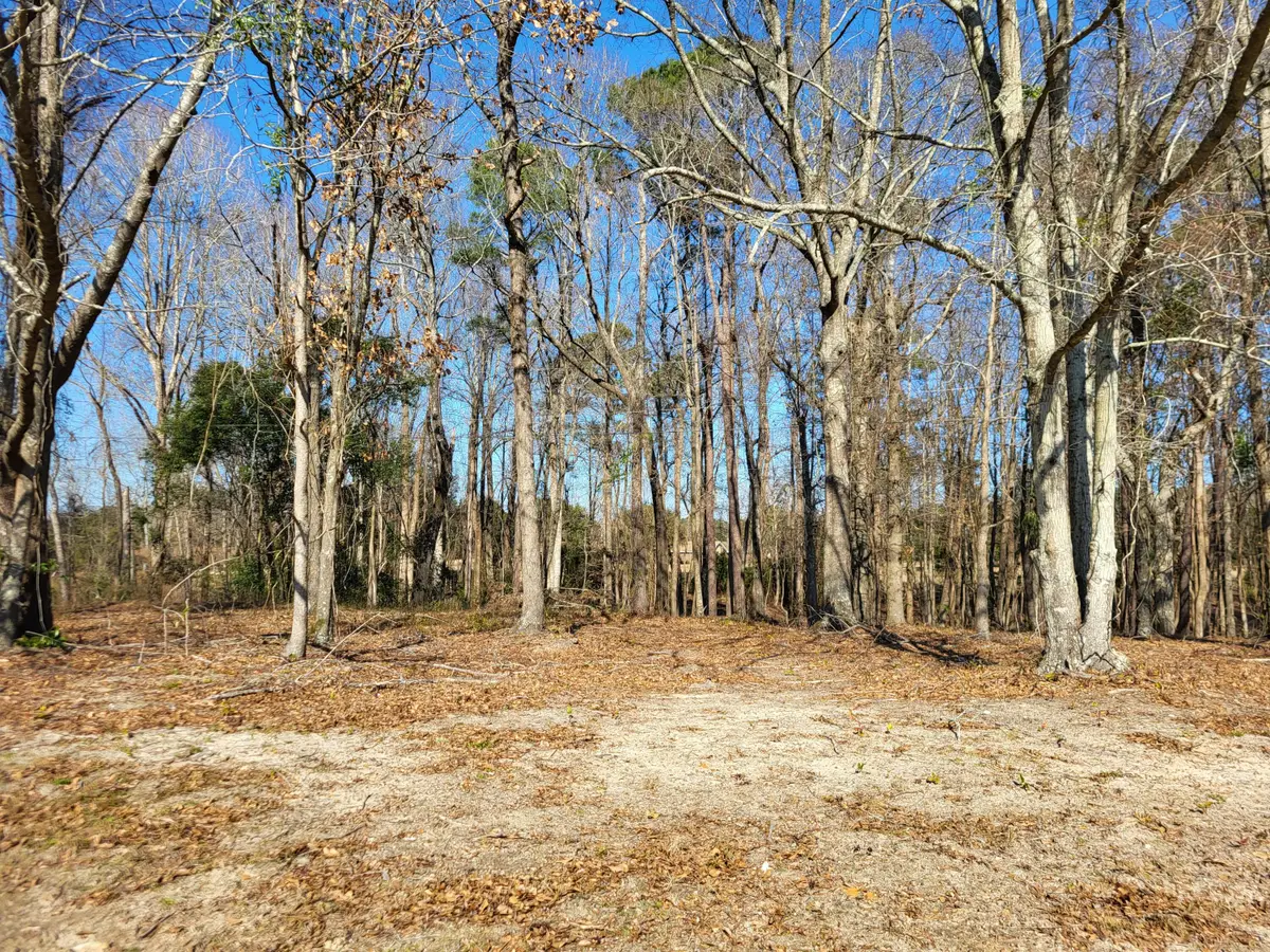 Lot 1 Santee Lumber Road, Santee, SC 29142 - Image #1