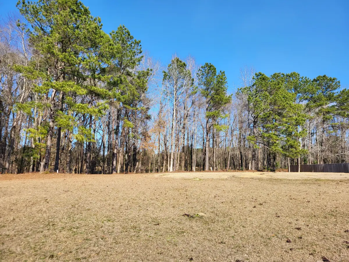 Lot 2 Santee Lumber Road, Santee, SC 29142 - Image #1