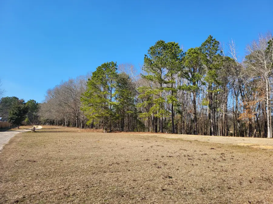 Lot 2 Santee Lumber Road, Santee, SC 29142 - Image #2