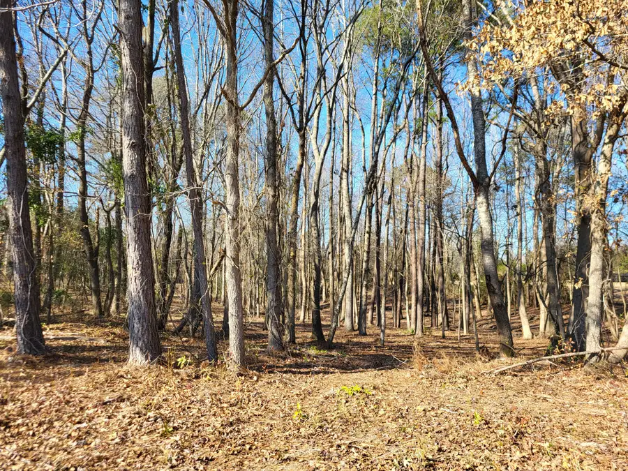 Lot 2 Santee Lumber Road, Santee, SC 29142 - Image #3