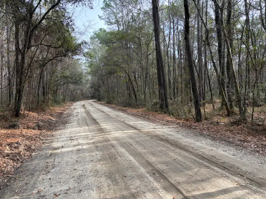 0 Hercules Lane, McClellanville, SC 29458 - #3