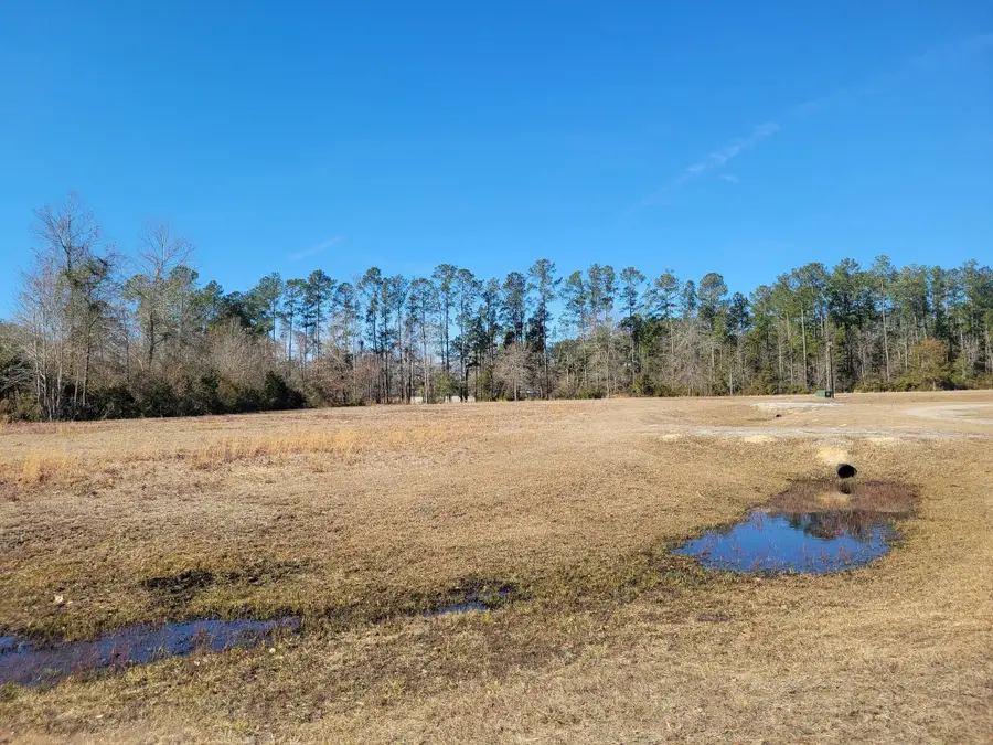 91 Rice Gate Court #Lot 3, Walterboro, SC 29488 - #3