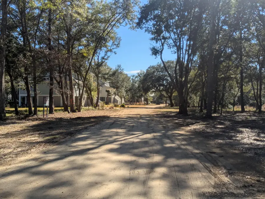 2134 Mcneil Washington Road, Charleston, SC 29412 - #2