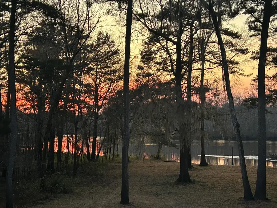 9450 Savannah Highway, Adams Run, SC 29426 - #2