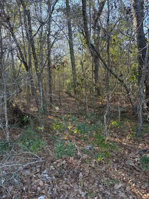 01 Broughton Road, Moncks Corner, SC 29461 - #2