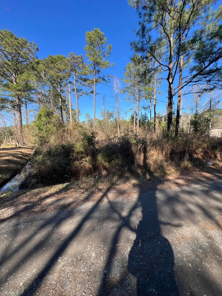 0 Mims Lane, Georgetown, SC 29440 - Image #3