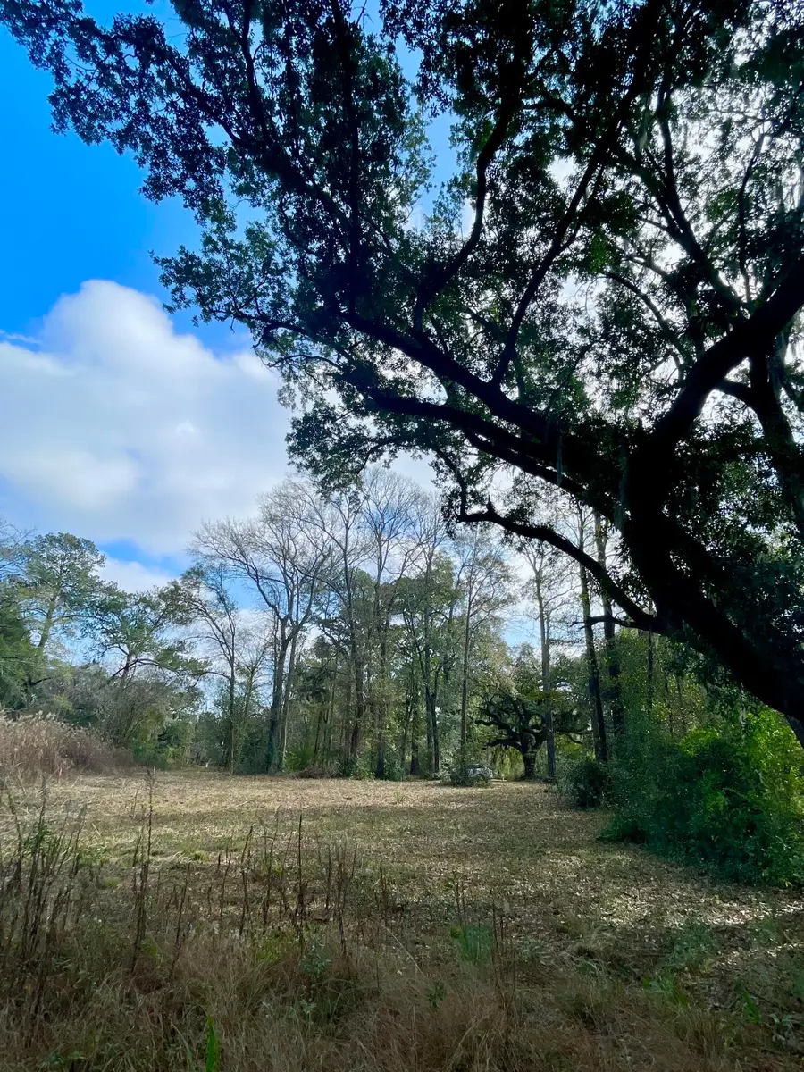 0 Bradham Road, Charleston, SC 29412 - #2
