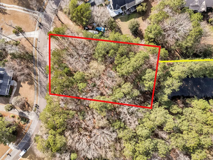 3786 Saint Ellens Drive, Mount Pleasant, SC 29466 - #2