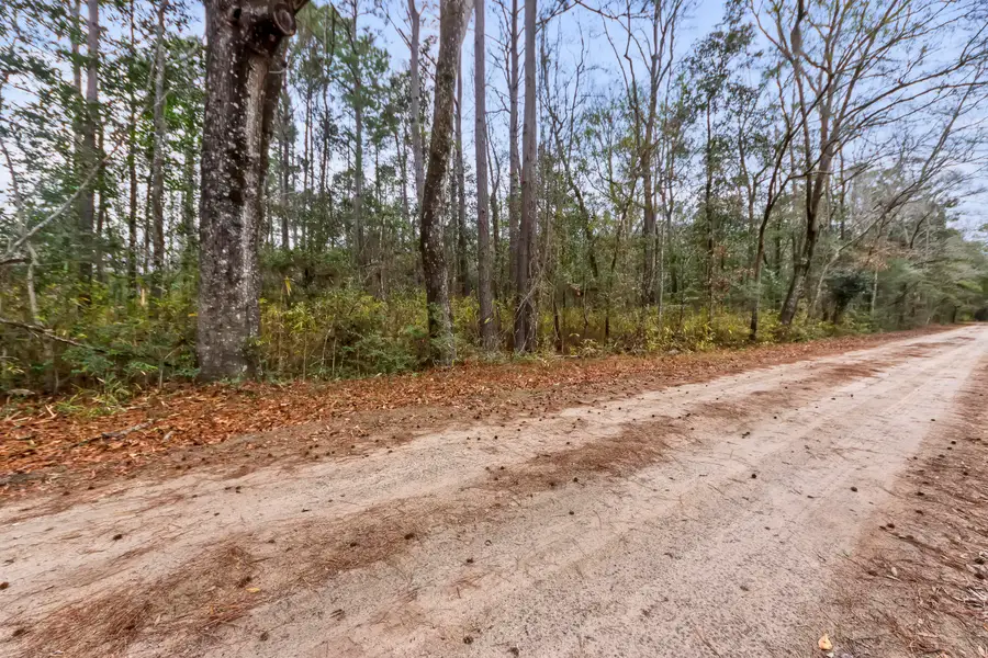 8874 Old Georgetown Road, McClellanville, SC 29458 - Image #3