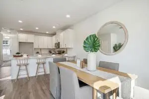 727 Alma Square Drive, Moncks Corner, SC 29461 - #1