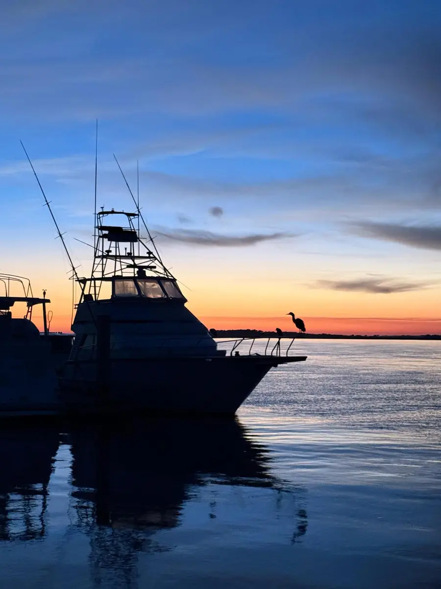 67 W 10th Street #E-3, Folly Beach, SC 29439 - Image #2