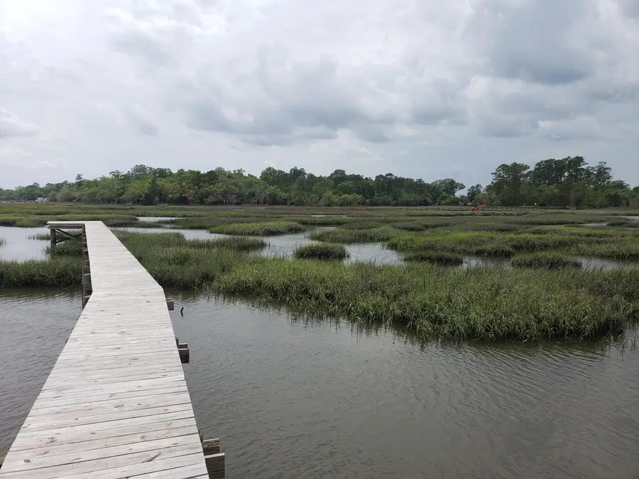 5751 Church Flats Road, Meggett, SC 29449 - Image #3