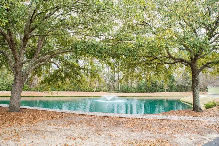 2322 Chatelain Way, Mount Pleasant, SC 29464 - #3