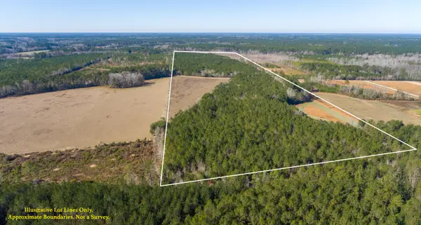 0 Hiotts Pond, Walterboro, SC 29488