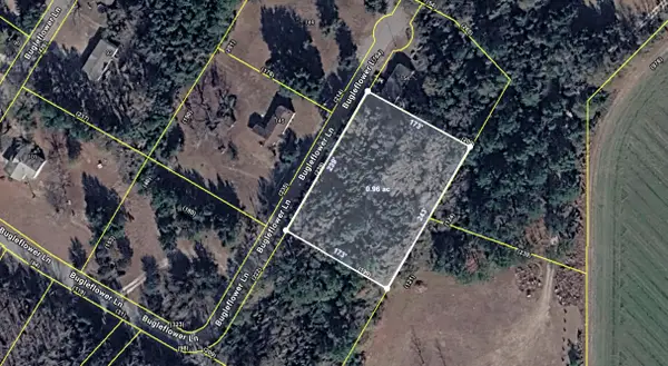 0 Bugleflower Lane, Saint Matthews, SC 29135