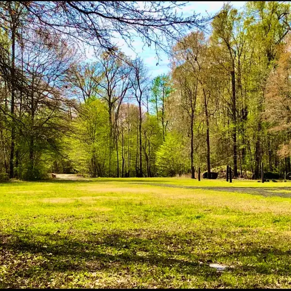 1041 Edisto River Road Road, Reevesville, SC 29471