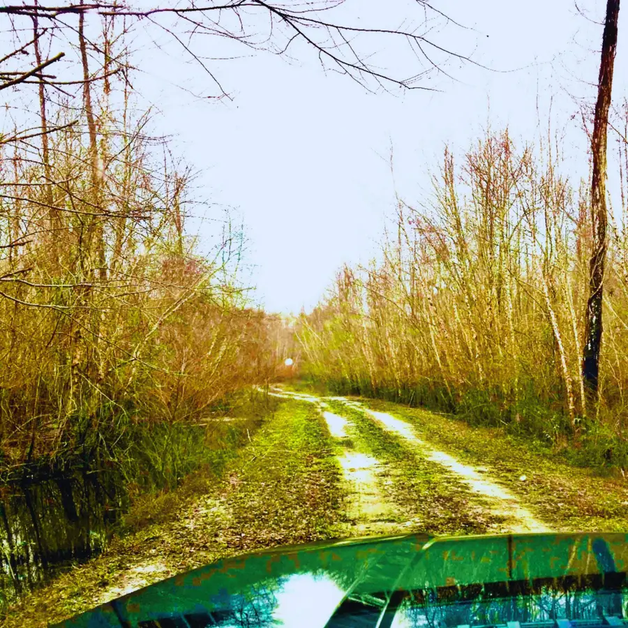 1041 Edisto River Road Road, Reevesville, SC 29471 - Image #2