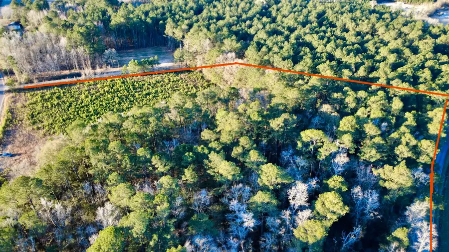 1 Dantzler Road, Harleyville, SC 29448 - #2