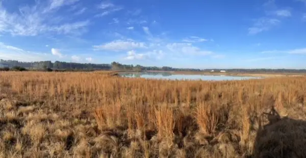 765 Percy Lane, Ridgeville, SC 29472