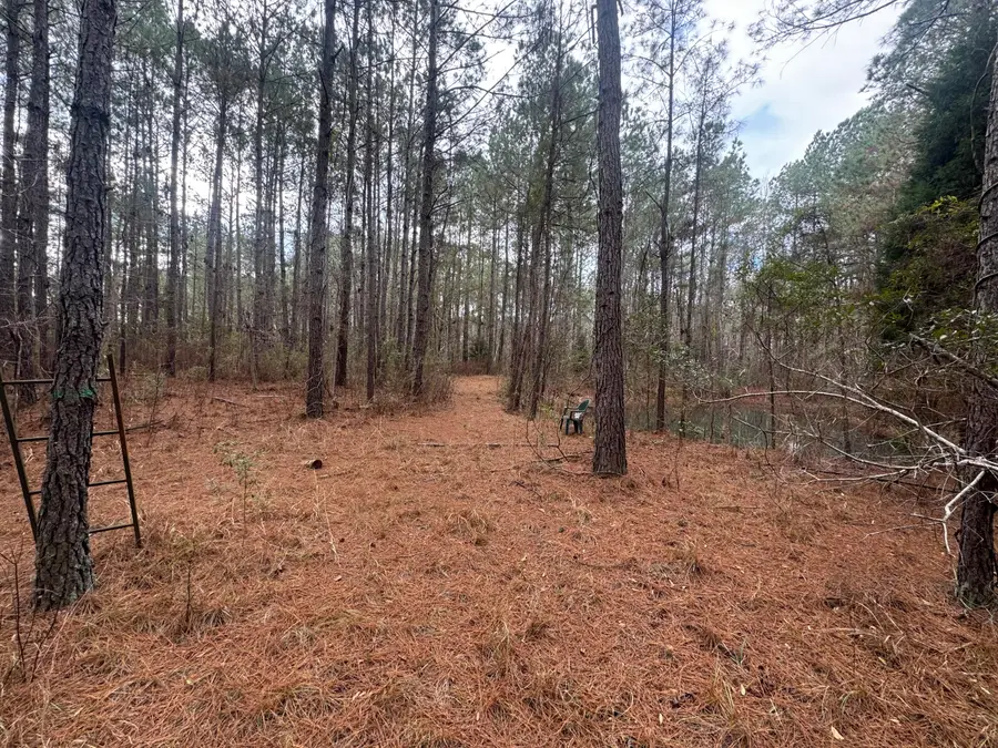 0 Deerhaven Court, Huger, SC 29450 - Image #2