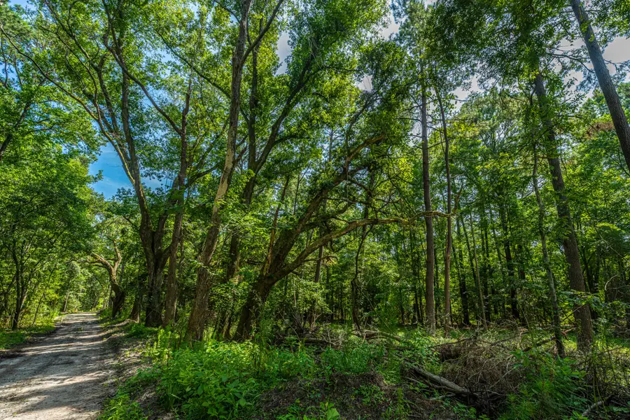 0 Geneva Shaw Lane, Wadmalaw Island, SC 29487 - #3