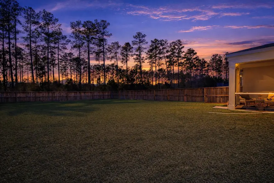 648 Chigwell Springs Lane, Summerville, SC 29486 - #3