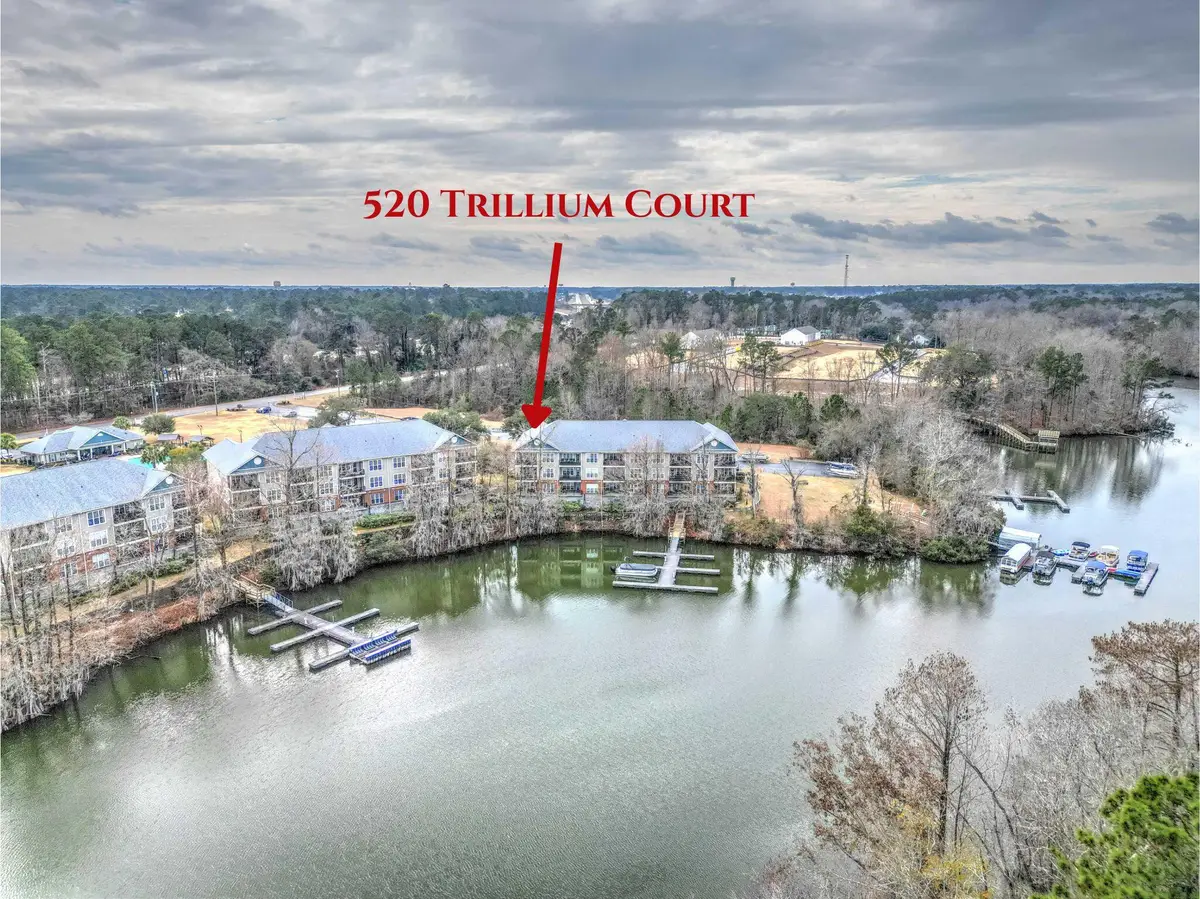 520 Trillium Court, Santee, SC 29142 - #1