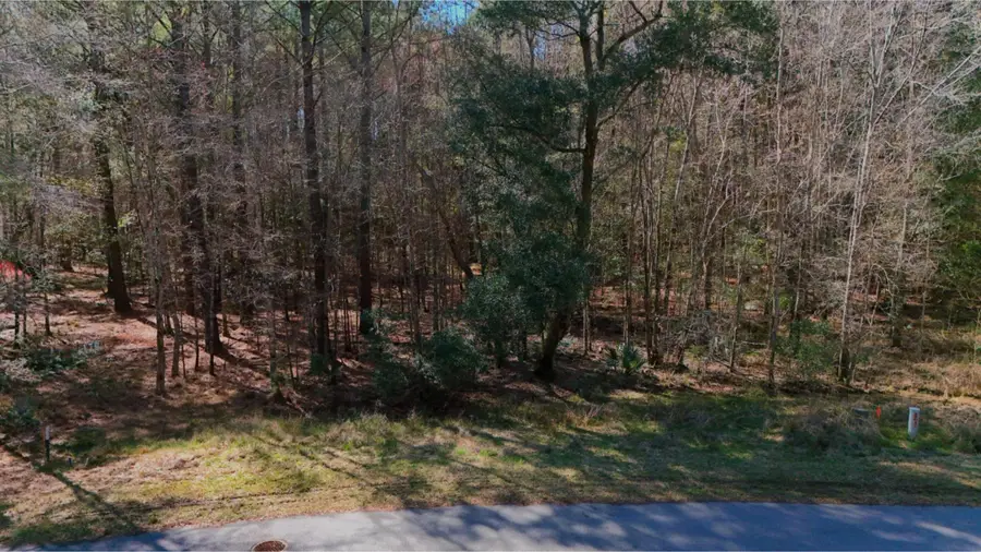 852 Somerset Drive, Yemassee, SC 29945 - #3