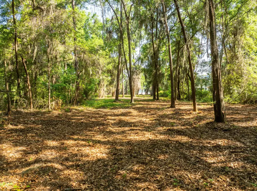 16 Comfort Point, Saint Helena Island, SC 29920 - #3