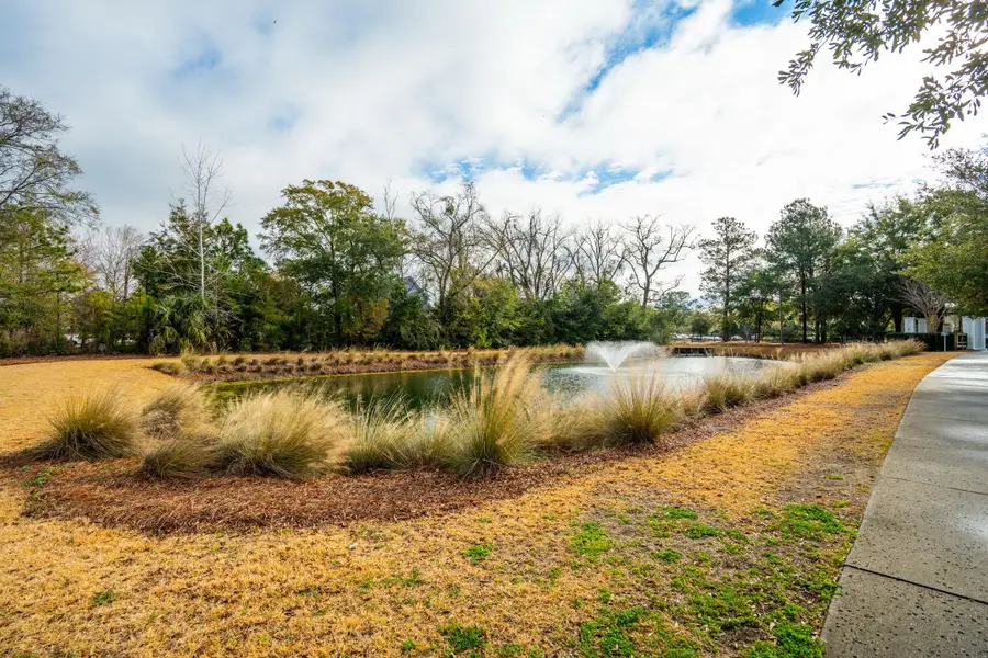 1313 Founders Way, Mount Pleasant, SC 29464 - #3