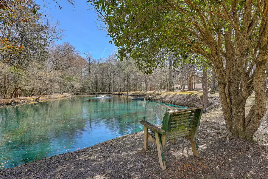 148 Patrick Lane, Summerville, SC 29483 - #3