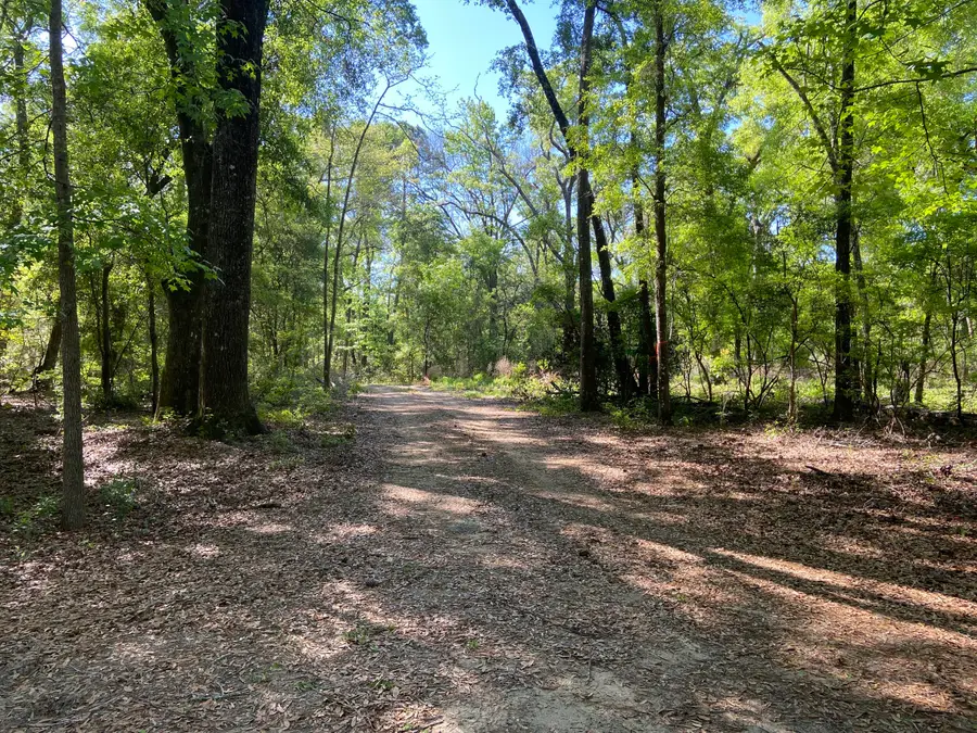 6079 Josie Ridge Road, Wadmalaw Island, SC 29487 - #2