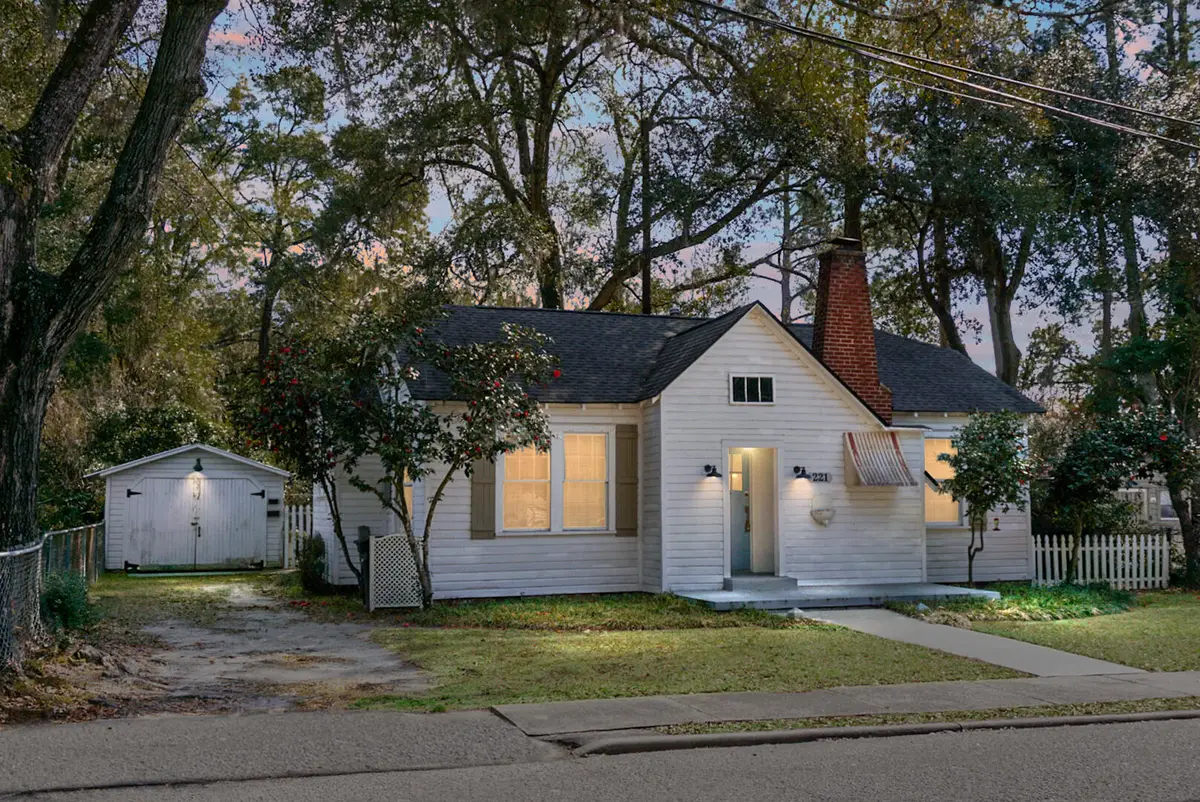 221 Brownlehe Street, Walterboro, SC 29488 - #1