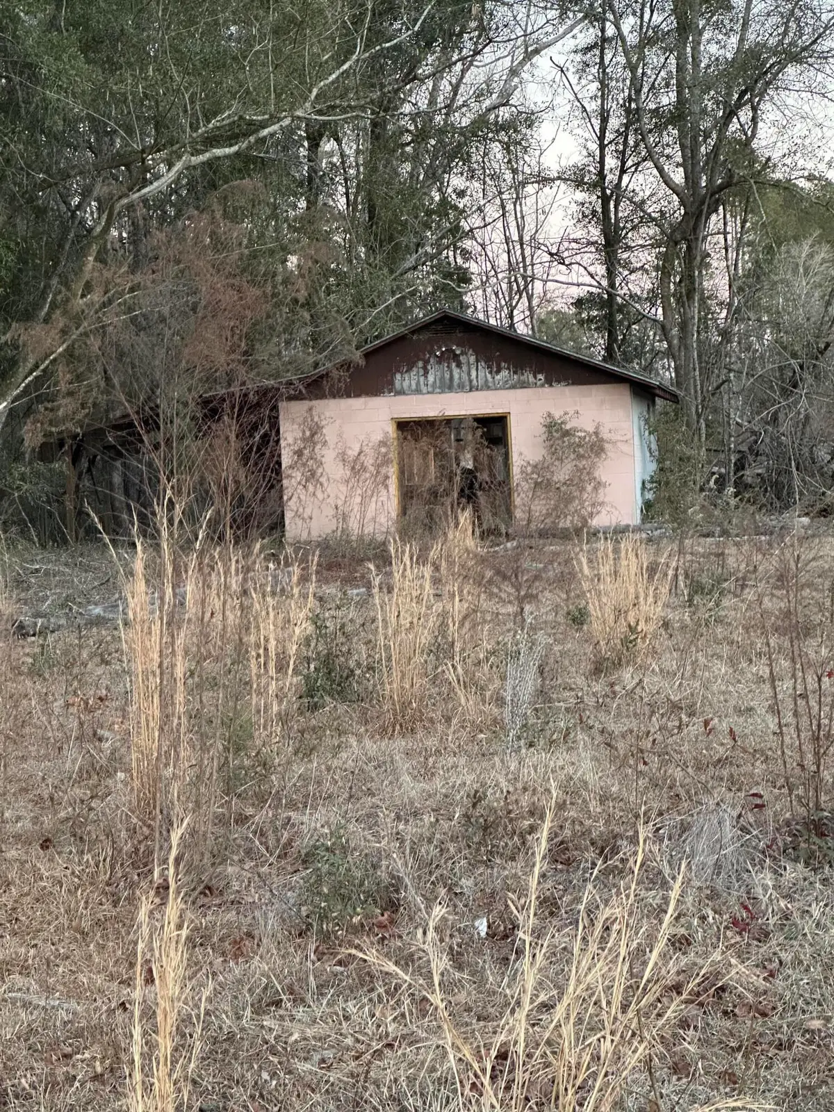 0 Hampton Street, Branchville, SC 29432 - #1