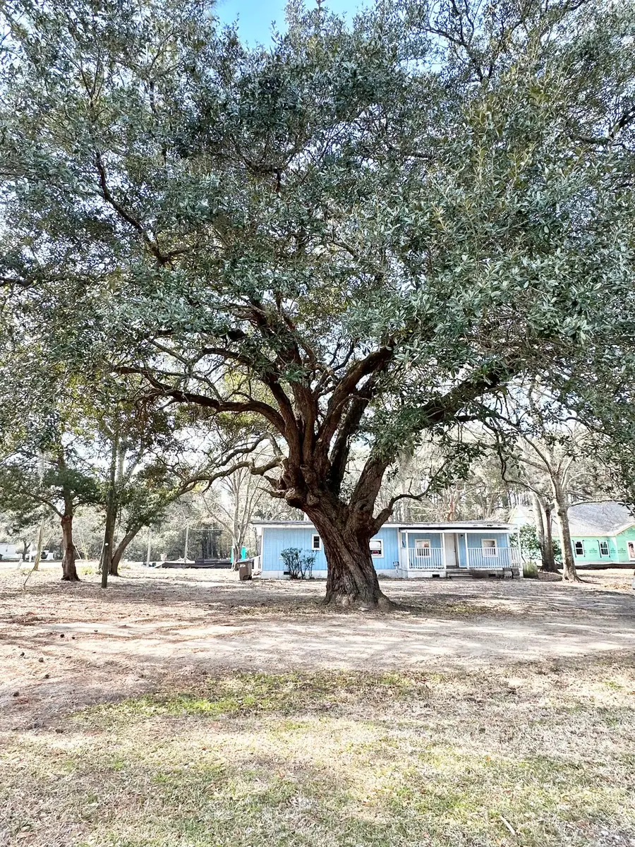 1645 Cuffy Lane, Charleston, SC 29412 - #2