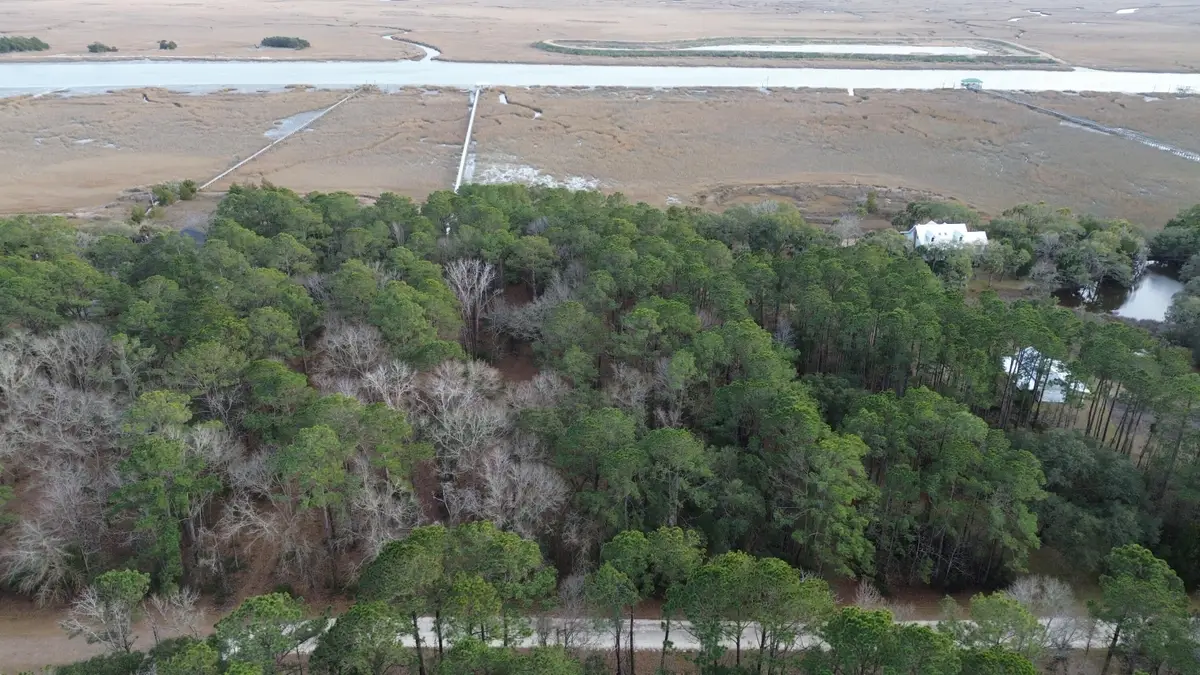 0 Two Pines Road, McClellanville, SC 29458 - #1