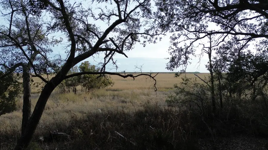 0 Two Pines Road, McClellanville, SC 29458 - #3