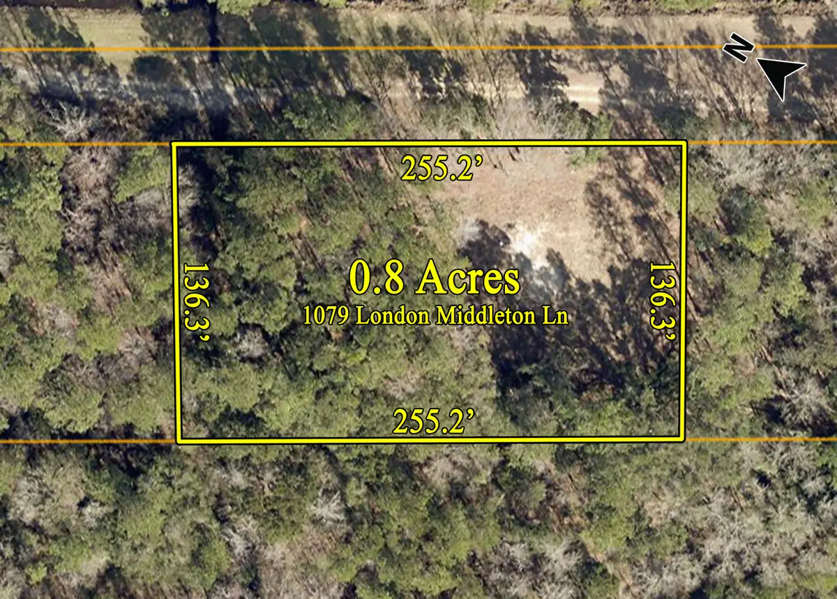 1079 London Middleton Lane, McClellanville, SC 29458 - #1