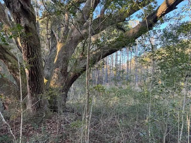 1079 London Middleton Lane, McClellanville, SC 29458 - #3