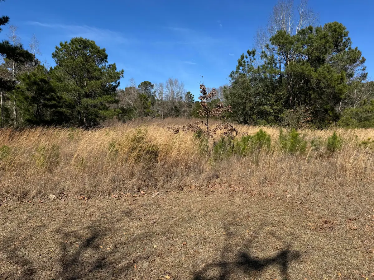 280 Lighthouse Lane, Green Pond, SC 29446 - #1